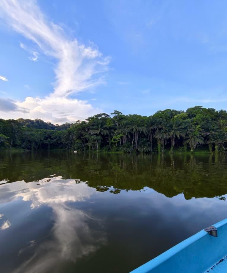 Magoroto Rainforest